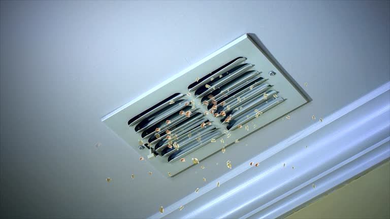 Best Residential Air Duct Cleaning  in Dundee, FL