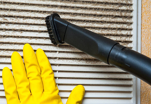 Best Air Duct Cleaning Company Near Me  in Dundee, FL